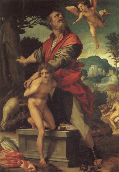 Andrea del Sarto The Sacrifice of Abraham oil painting picture